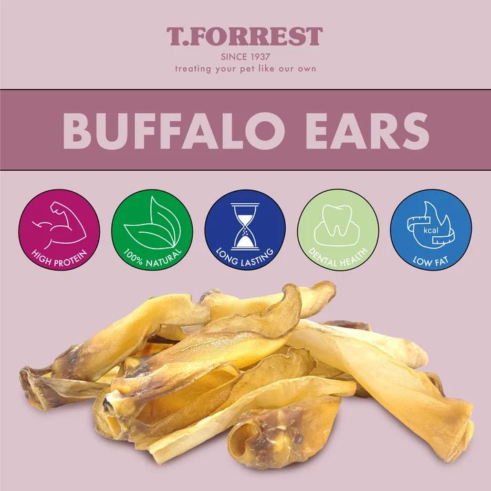 20 - XLARGE Buffalo Ears
