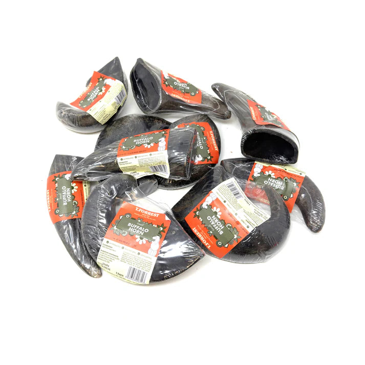 Small Buffalo Horns
