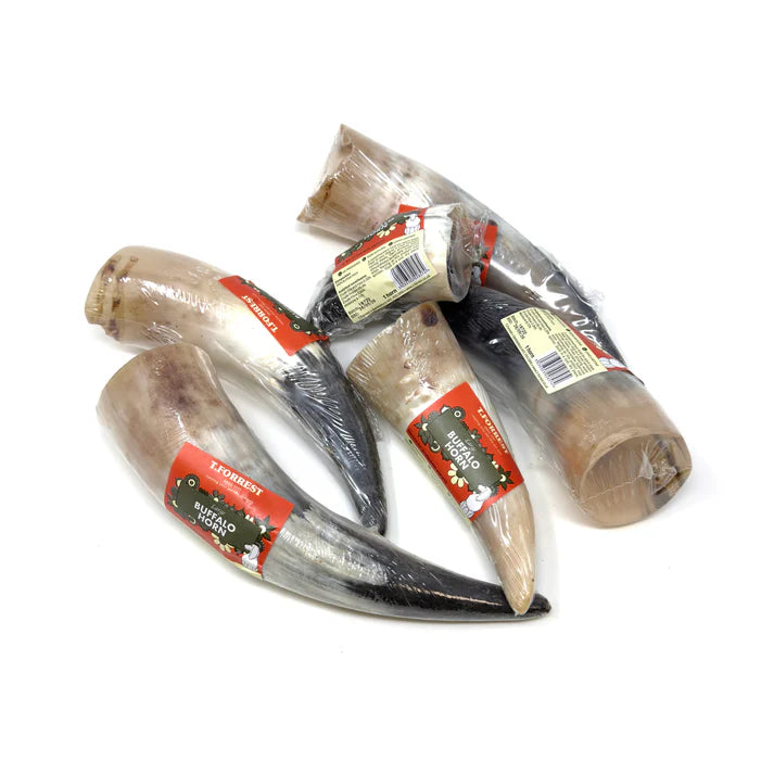 Large Buffalo Horn
