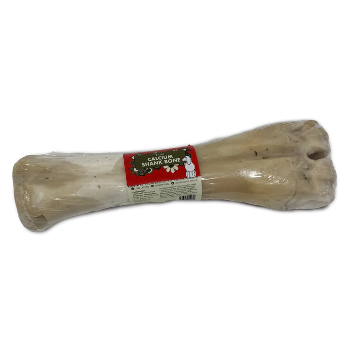Large Calcium Shank Bone