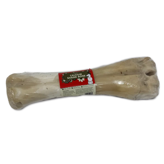 Large Calcium Shank Bone
