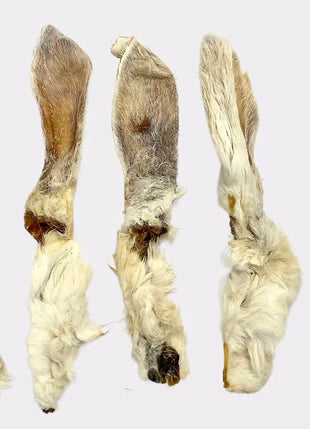 Rabbits Ear x 2
