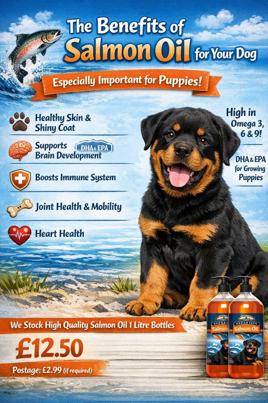 1 litre Salmon oil for Dogs & Cats