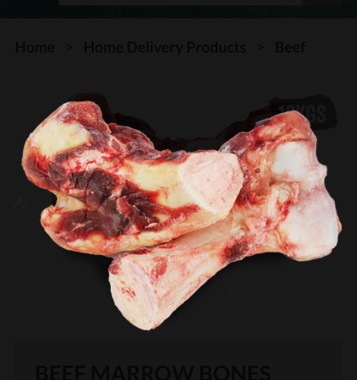 Large  Marrow Bone x 1