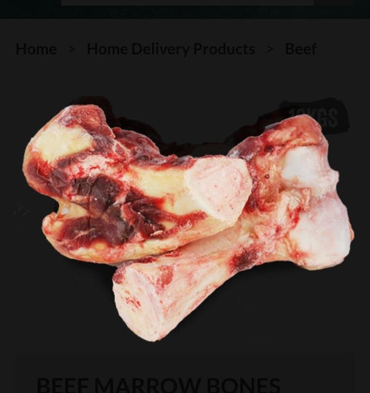 Large  Marrow Bone x 1