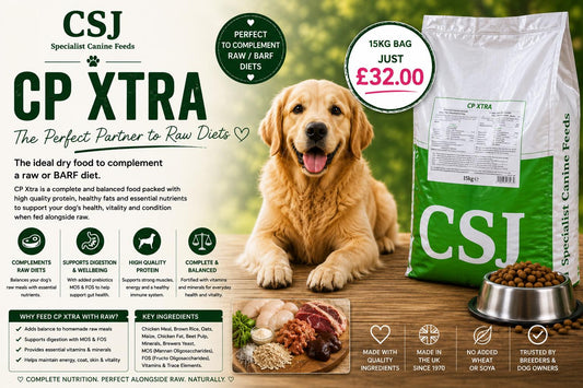 CSJ CP Xtra